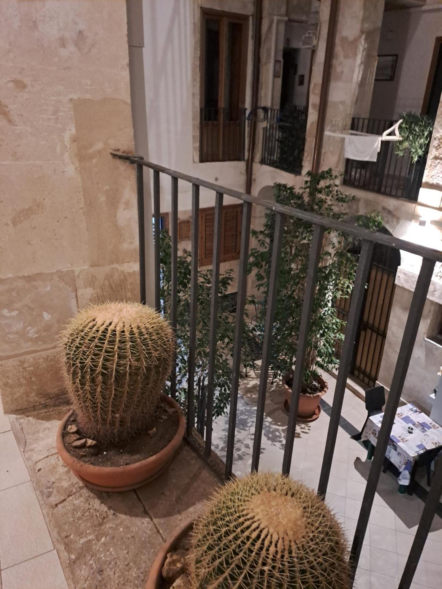 Syrakosia A Ortigia